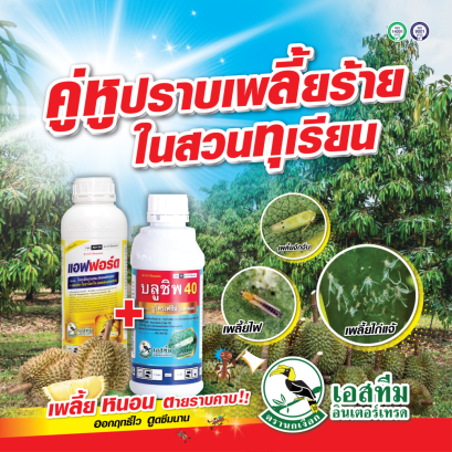 แอฟฟอร์ด + บลูชิพ 40 คู่หูปราบเพลี้ยร้ายในสวนทุเรียน