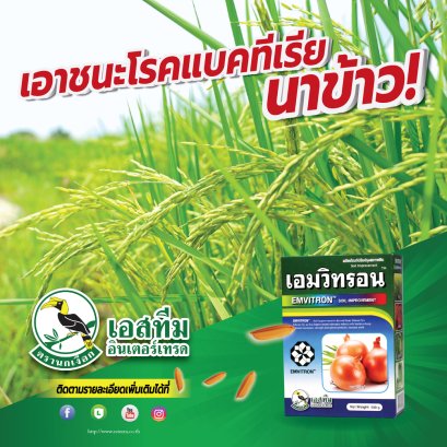 แก้ปัญหาโรคแบคทีเรียในนาข้าวได้ง่าย ๆ ด้วยเอมวิทรอน