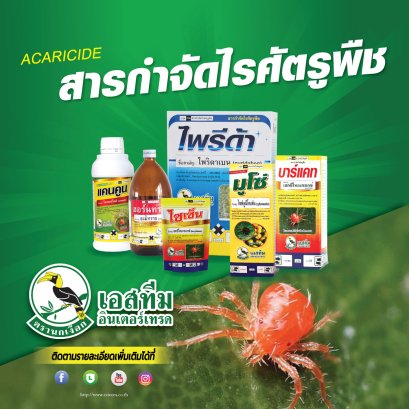 เราจะกำจัดไรได้อย่างไร?