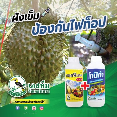 ป้องกัน/รักษาโรคไฟทอปธอร่าในทุเรียน ด้วย โทนิก้า+พอสฟิเทค เค+น้ำกลั่น