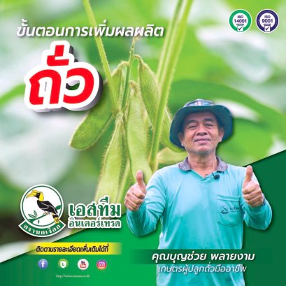 การเพิ่มผลผลิตใน ถั่ว