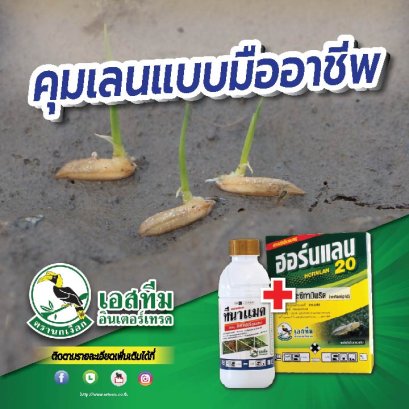 ฉีดคุมเลน 0-4 วัน กำจัดวัชพืชใบแคบ ใบกว้าง กก และเพลี้ยไฟ