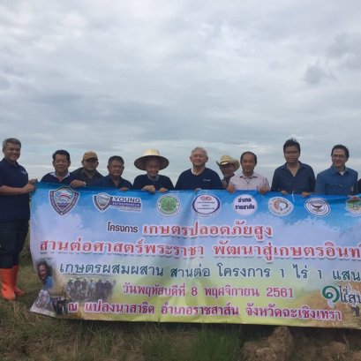 กิจกรรมเก็บเกี่ยวผลผลิตตามโครงการ เกษตรปลอดภัยสูง 