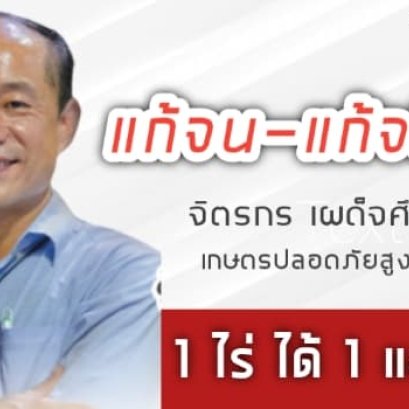 บทความพิเศษ " แก้จน แก้จริง "