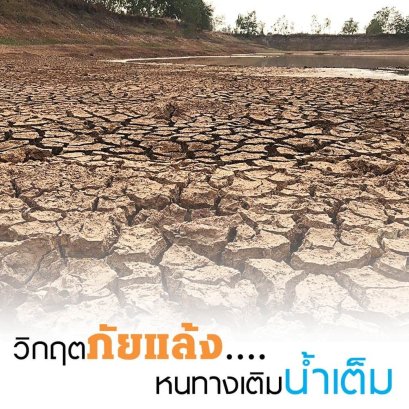 บทความพิเศษ (3)