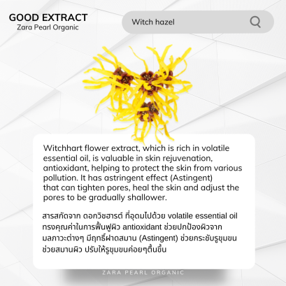 Witch hazel