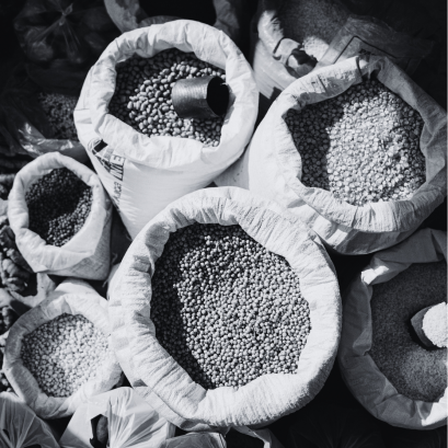 ข้าวจากทุกภูมิภาค - The Rice of Every Region
