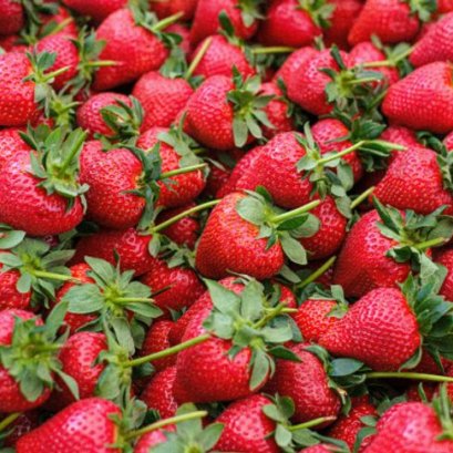 หยุดหาทำ! หมอเตือน "แช่น้ำเกลือ" ล้างสตรอว์เบอร์รี-บรอกโคลี ยิ่งทำยิ่งพัง เสี่ยงสารพิษซึมเข้าเนื้อ แนะวิธีล้างที่ถูกต้อง