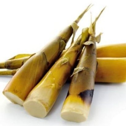 เมนูอาหารจากหน่อไม้