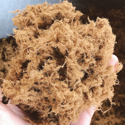 กระบวนการระเบิดด้วยไอน้ำ