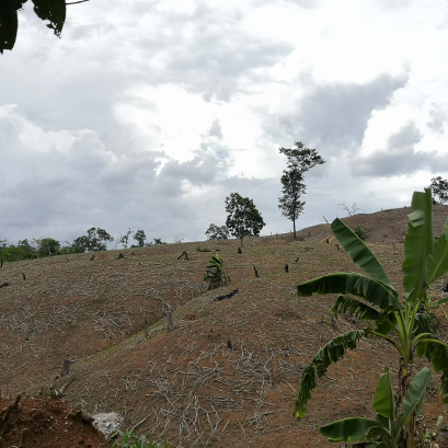 ภูเขาหัวโล้น