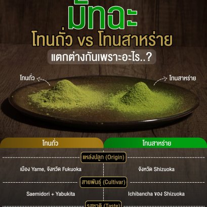 มัทฉะโทนถั่ว vs โทนสาหร่าย ต่างกันอย่างไร?