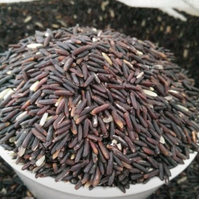 ข้าวไรเบอรี่