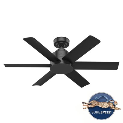 พัดลมเพดาน Kennicott - Matte Black