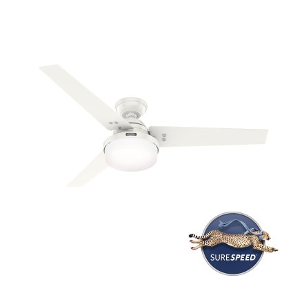 Sentinel Plus - Fresh White