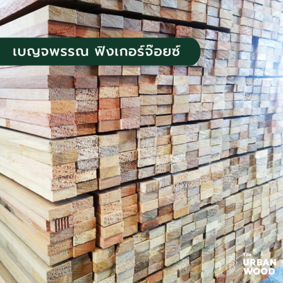 เบญจพรรณ ฟิงเกอร์จ้อยส์