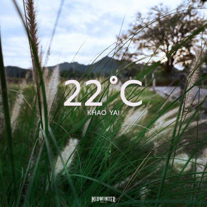 The weather is around 22 °C all day long
