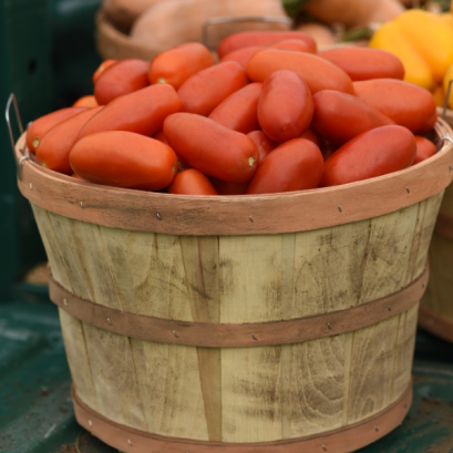 มะเขือเทศกระถาง เบลลาทริกซ์ 50 เมล็ด