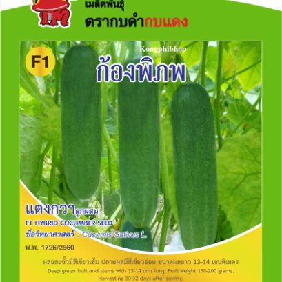 แตงกวา ก้องพิภพ ซ.1 g.