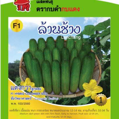 แตงกวา ล้านช้าง ซ.1 g.