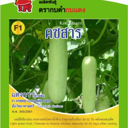 แตงกวา คชสาร ซ.1 g.