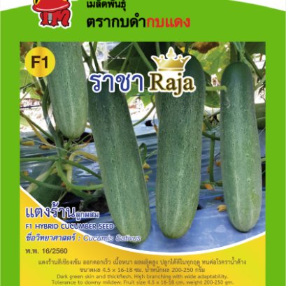 แตงร้าน ราชา ซ.1 g.