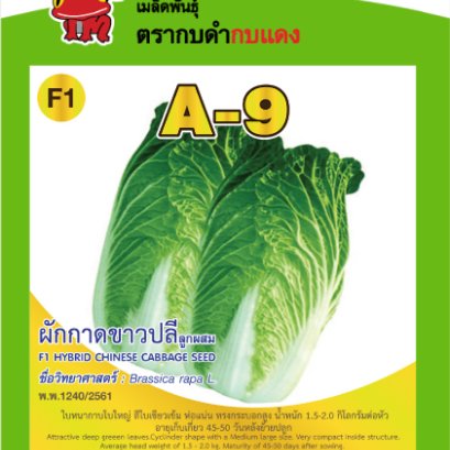 ผักกาดขาวปลี A-9 ซ.0.5 g.