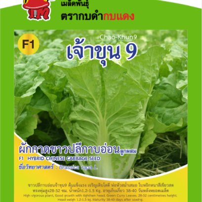 ผักกาดขาวปลีเบา เจ้าขุน9 ซ.1 g