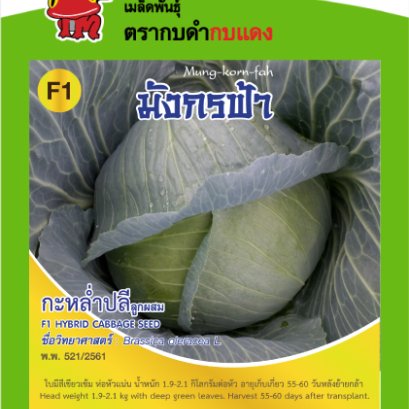 กะหล่ำปลี มังกรฟ้า ซ.1 g