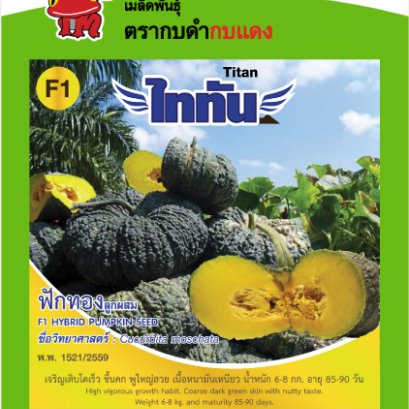 ฟักทอง ไททัน ซ.2 g.
