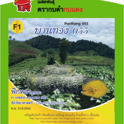 ฟักทอง พานทอง055 ซ.2 g.