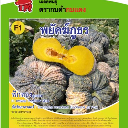 ฟักทอง พยัคฆ์ภูธร ซ.2 g.