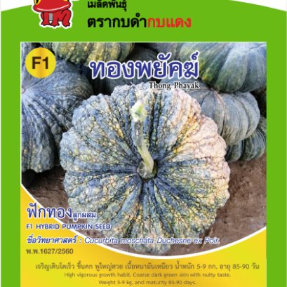 ฟักทอง ทองพยัคฆ์ ซ.2 g.