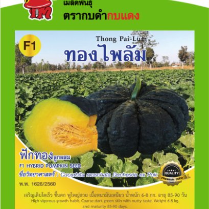 ฟักทอง ทองไพลัม ซ.2 g.