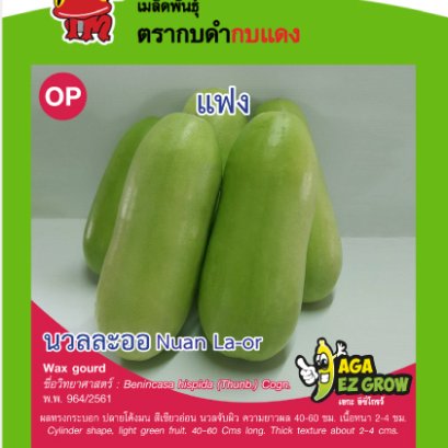 แฟง นวลละออ ซ.1 g.