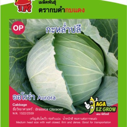 กะหล่ำปลี ออโรร่า ซ.0.5 g