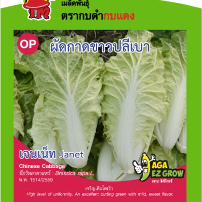 ผักกาดขาวปลีเบา เจนเน็ท ซ.10g