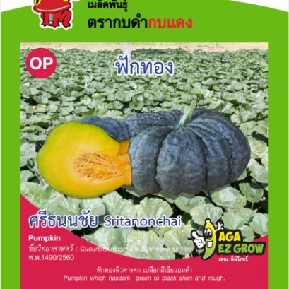 ฟักทอง ศรีธนนชัย ซ.3 g.