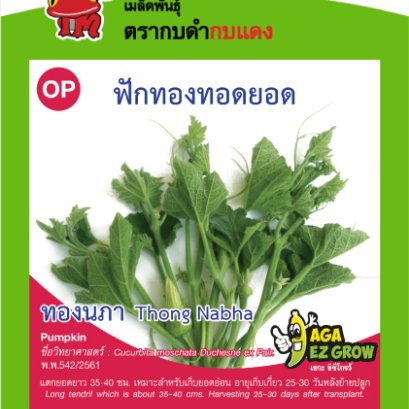 ฟักทองทอดยอด ทองนภา ซ.3 g.