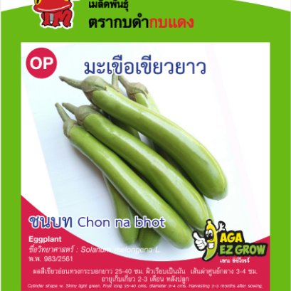 มะเขือเขียวยาว ชนบท ซ.1 g.