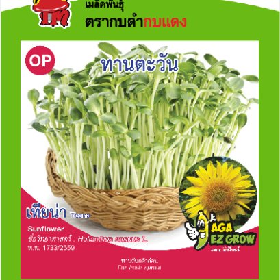 ทานตะวัน เทียน่า ซ.5 g.