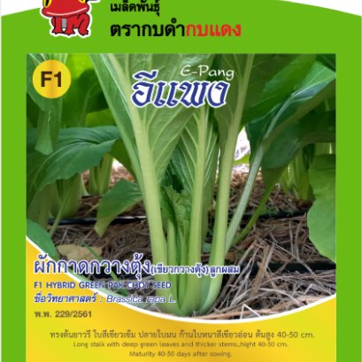 เขียวกวางตุ้ง อีแพง ซ.10 g.