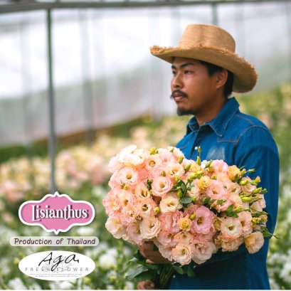 แนะนำดอกไม้ : ดอก "ลิซิแอนทัส Lisianthus"