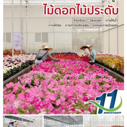 คู่มือการปลูกดอกไม้