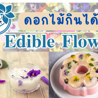 ดอกไม้กินได้