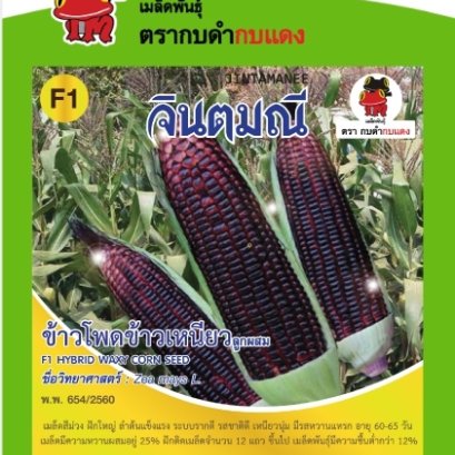 ข้าวโพดข้าวเหนียวก่ำจินตมณี ซ.10g