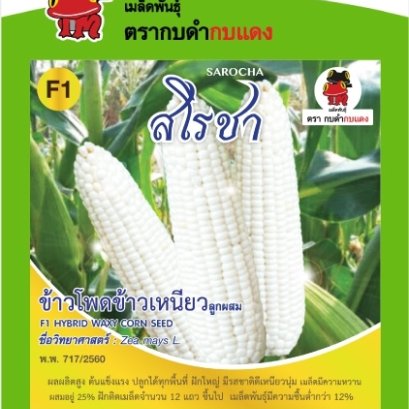 ข้าวโพดข้าวเหนียวสโรชา ซ.10g