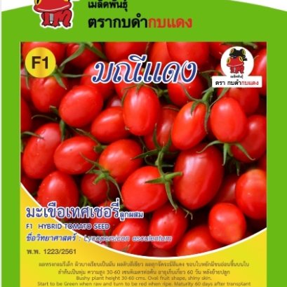 มะเขือเทศ เชอร์รี่มณีแดง ซ. 1 g.