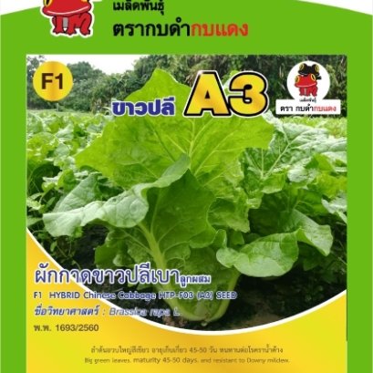 ผักกาดขาวปลีเบา A3 ซ.1 g.