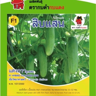 แตงกวา สิบแสน ซ. 1.5g